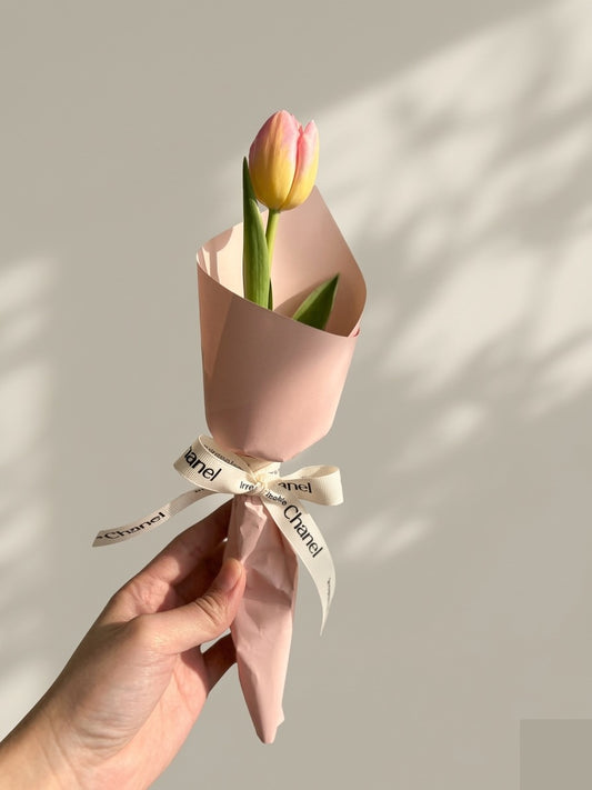 Single Tulip Bouquet x300